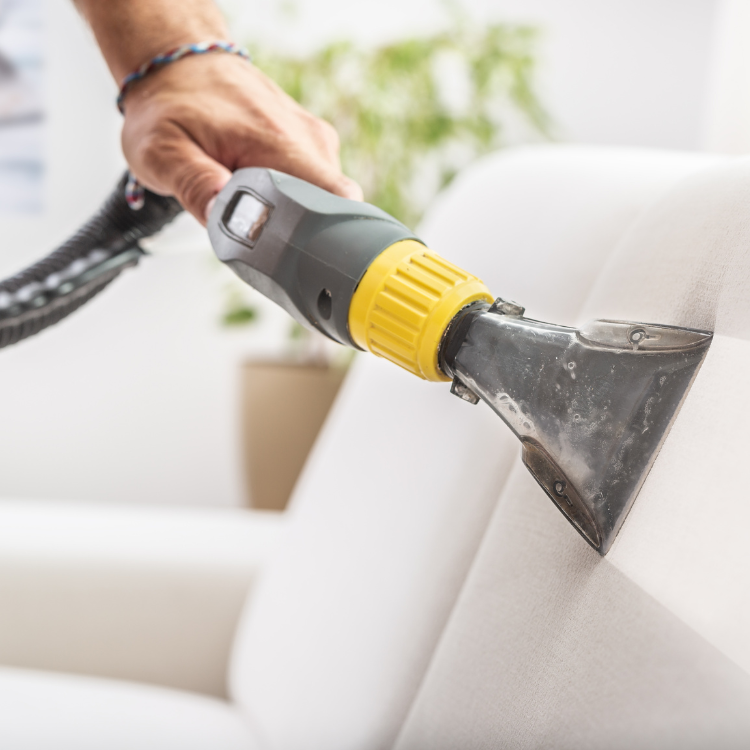 Sofa Cleaning